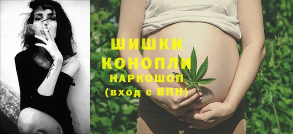 крисы Дубна