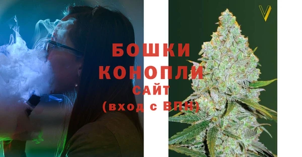 молекула духа Ростов