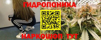 прущие грибы Ливны