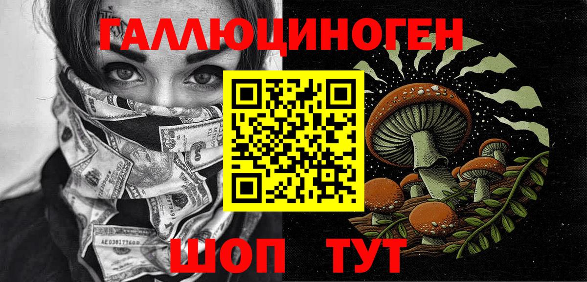 Псилоцибиновые грибы Cubensis  Вход с VPN  Химки  Псилоцибиновые грибы прущие грибы 